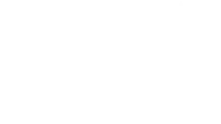 Spark Logo